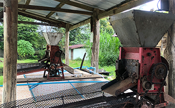 농장 커피생두 탈곡기